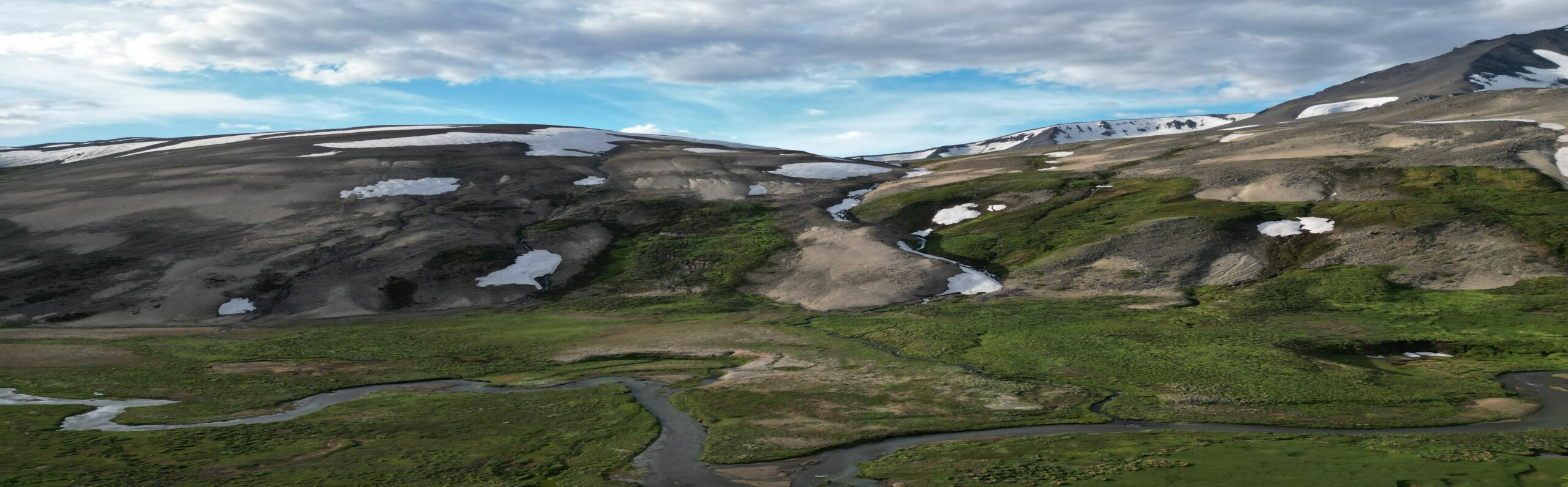 panoramica_pehuenche_B3-compressed